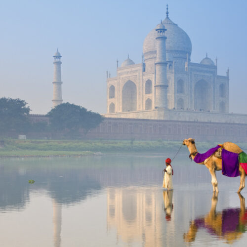 The Taj Mahal, Agra, Uttar Pradesh, India